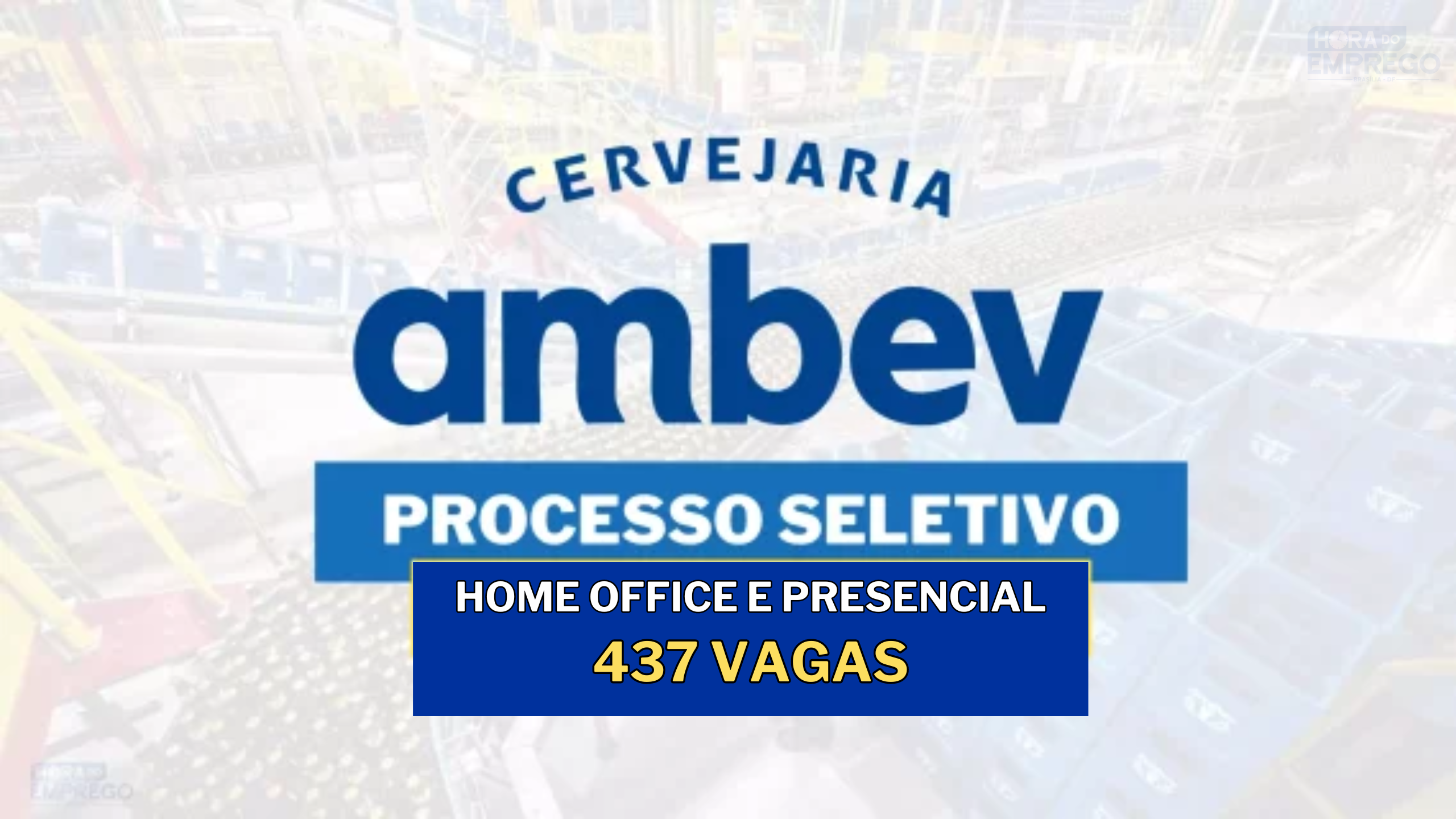 Ambev anuncia Novo Processo Seletivo com 437 vagas HOME OFFICE e PRESENCIAL em DIVERSAS ÁREAS