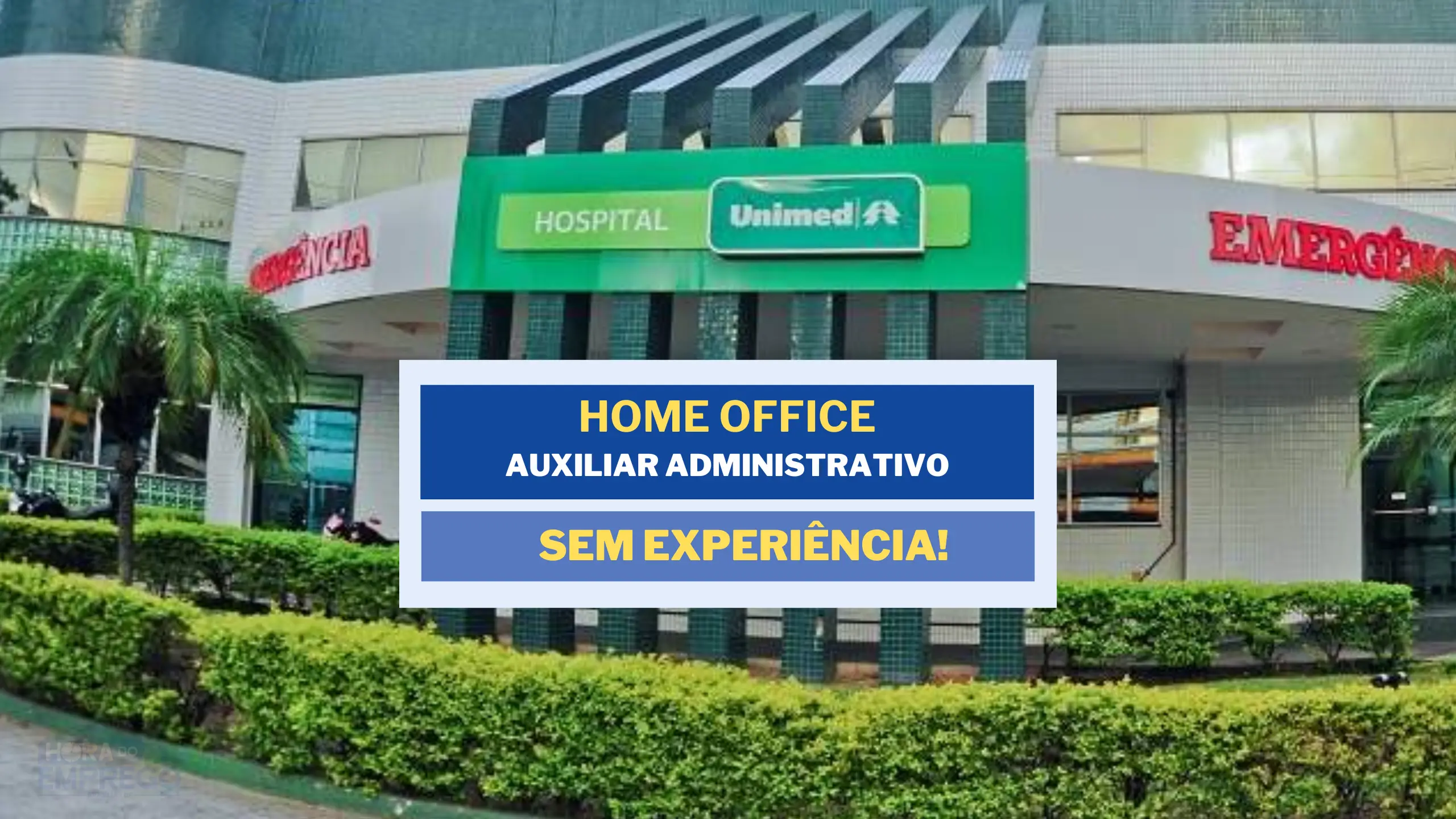 Sem experiência! Unimed abre vagas HOME OFFICE para Auxiliar Administrativo (Contas Médicas)