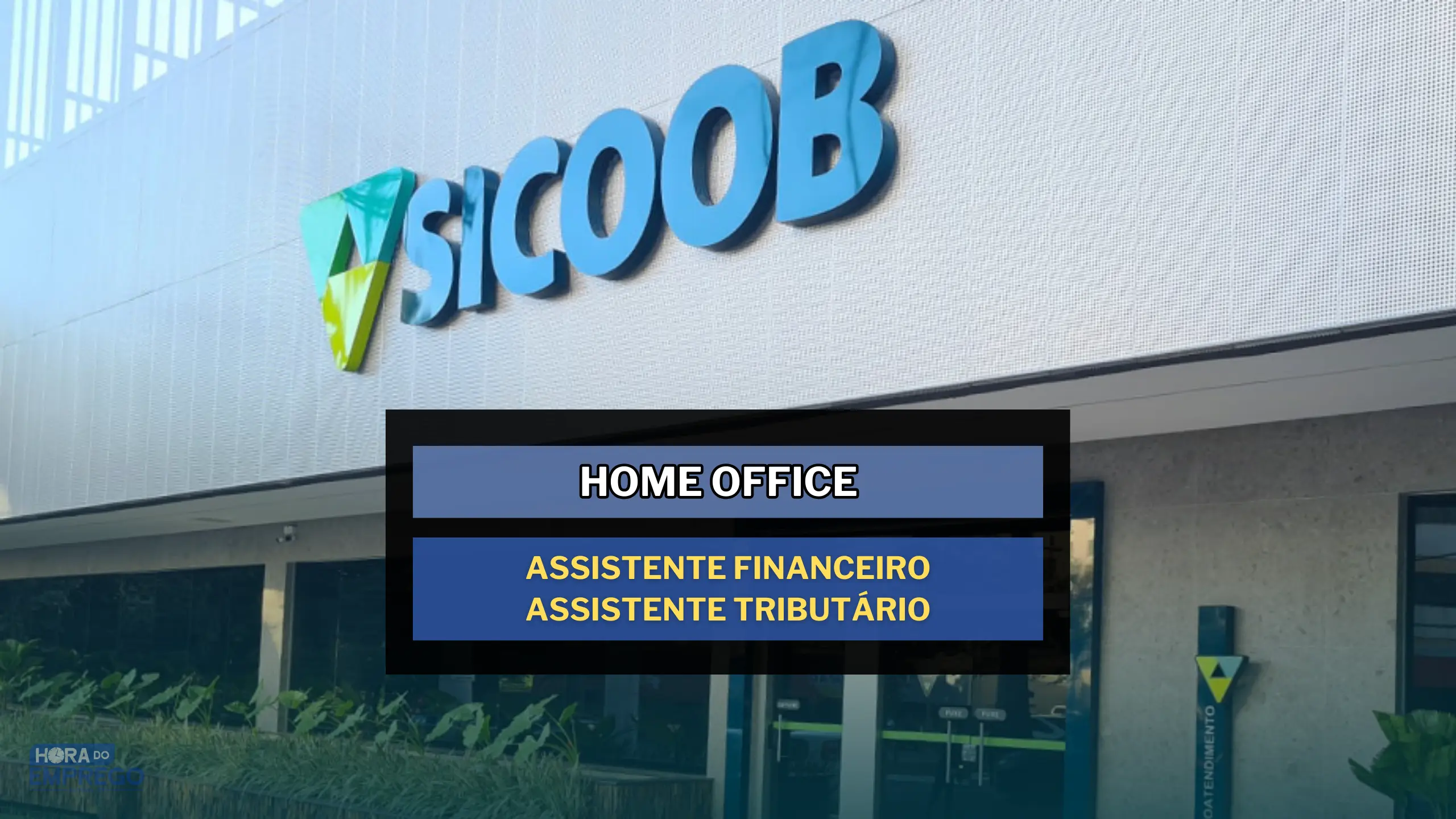 Sicoob abre vagas Home Office para Assistente Financeiro e Assistente Tributário de Segunda a sexta-feira das 9h às 18h