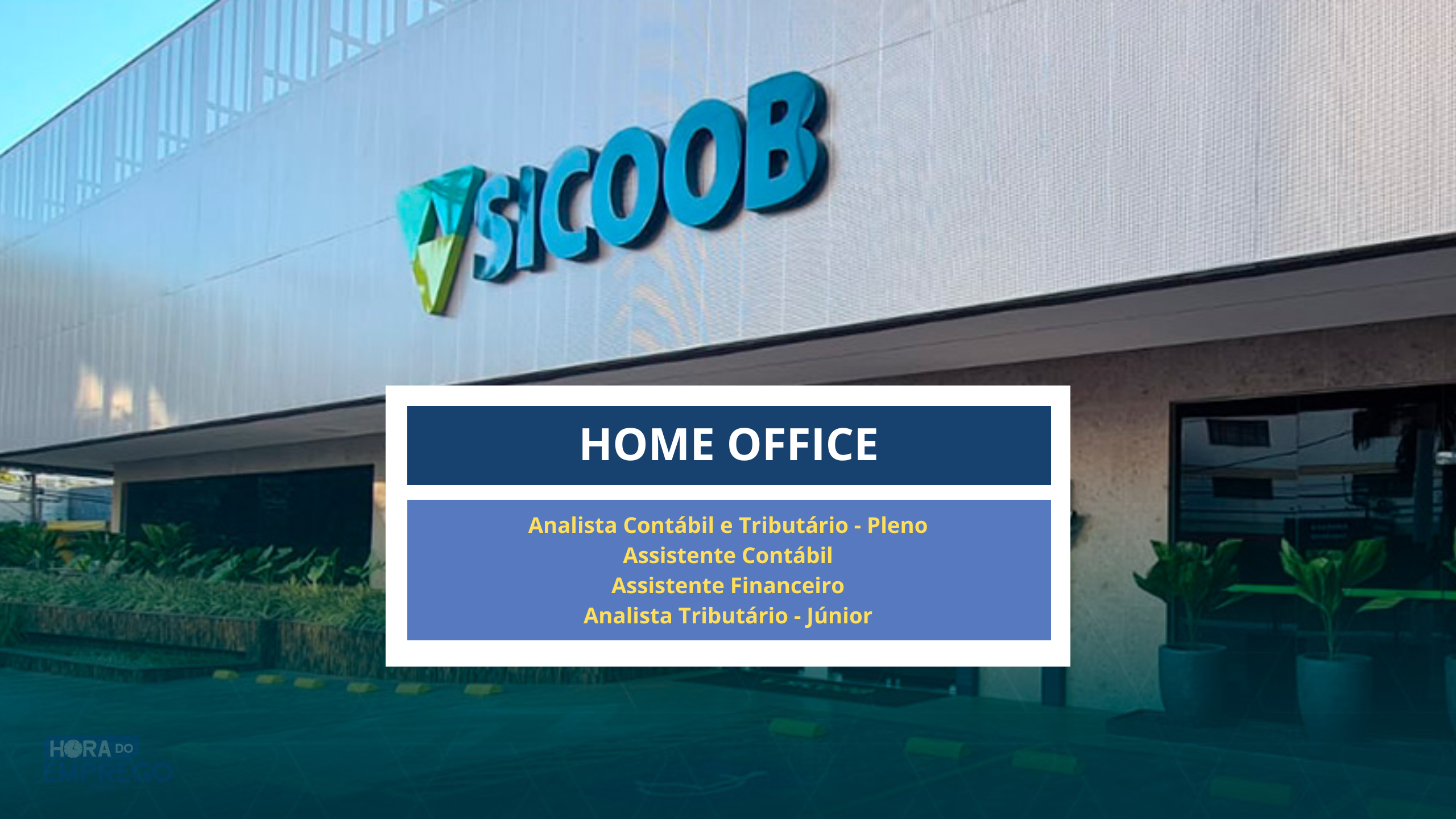 Instituição Financeira SICOOB abriu 04 vagas para TRABALHAR DE CASA em Home Office! Assistente Financeiro, Analista Contábil, Analista Tributário e mais