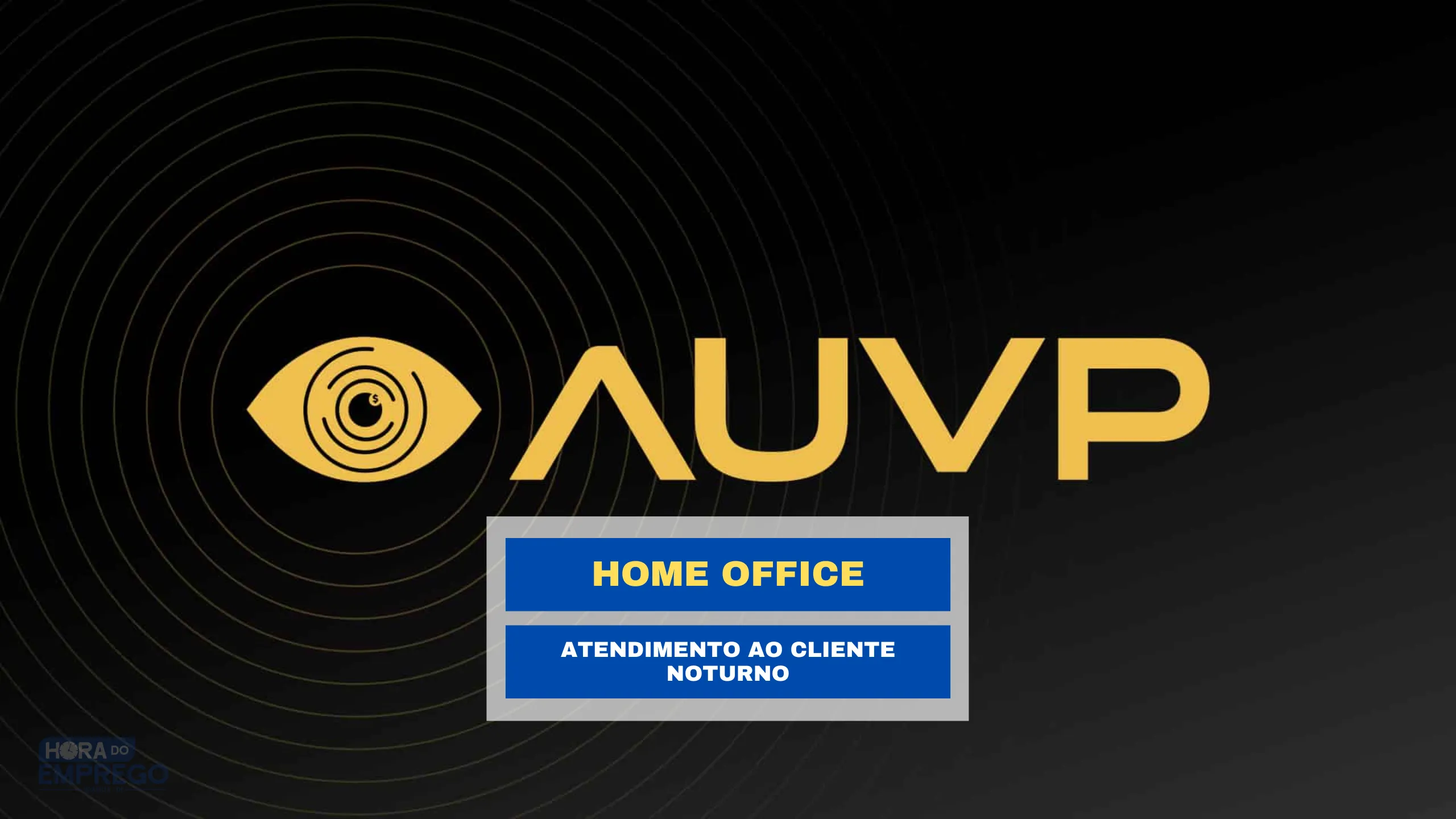 AUVP Capital ANUNCIA vagas HOME OFFICE para Atendimento ao Cliente Noturno